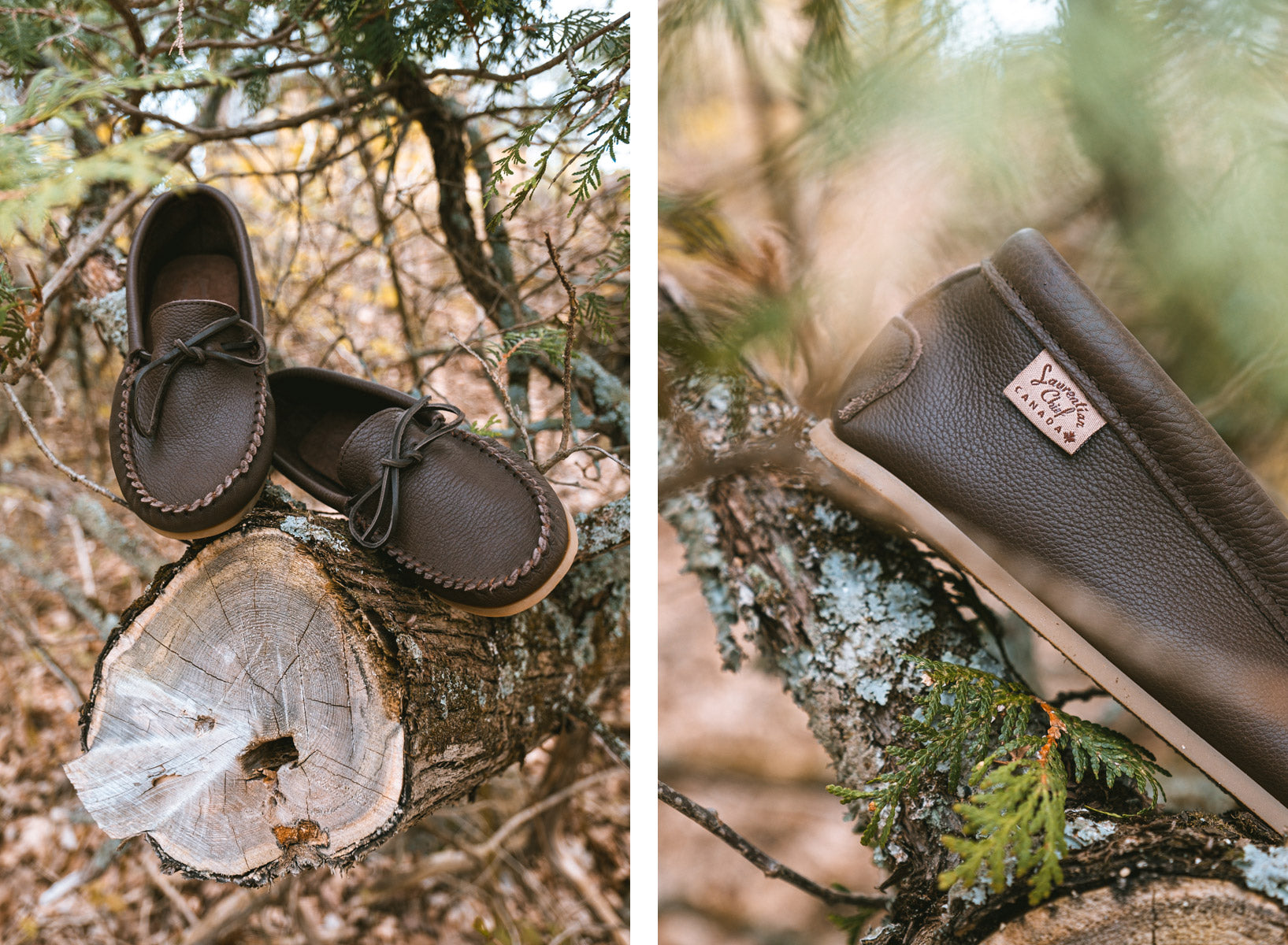 TCPD-326_MoccasinsCDA_Moose-