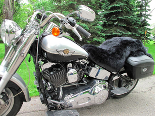 Motorcycle Seat Cover / Sheepskin Rug