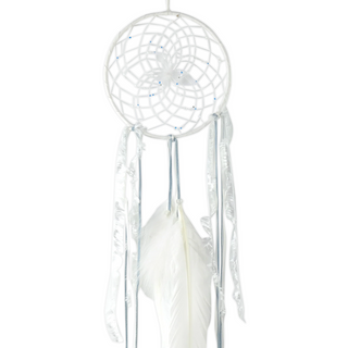 Season Change Winter Dreamcatcher
