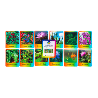 Indigenous Plants Memory Matching Cards