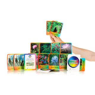 Indigenous Plants Memory Matching Cards