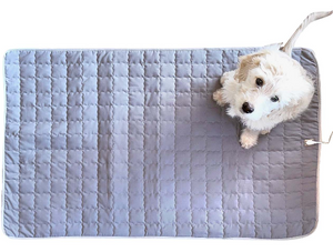 Plush Dog Earthing Pad