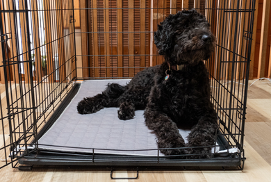 Plush Dog Earthing Pad