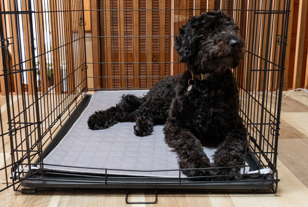 Plush Dog Earthing Pad